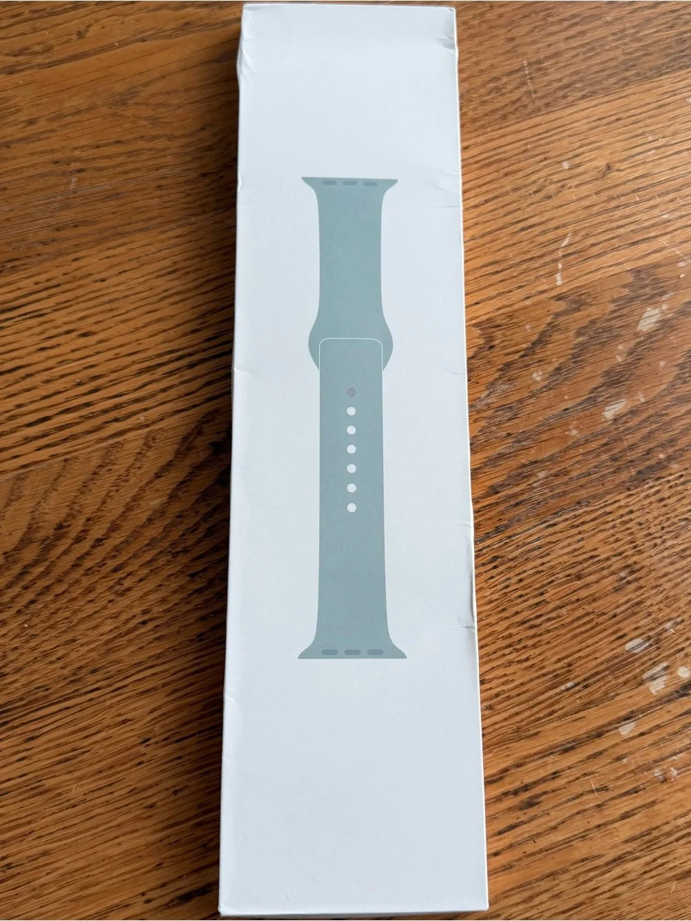 Apple Watch Sport Band - Succulent (Medium/Large band only)